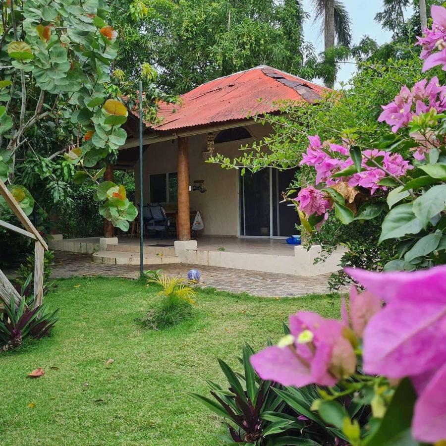 Villa Sonrisa Casa De Huespedes Las Terrenas Exteriör bild