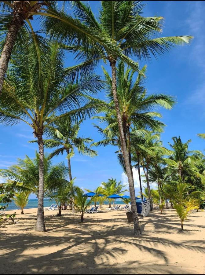 Villa Sonrisa Casa De Huespedes Las Terrenas Exteriör bild