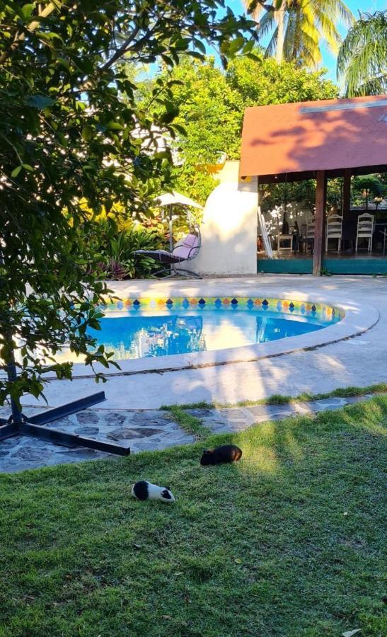 Villa Sonrisa Casa De Huespedes Las Terrenas Exteriör bild