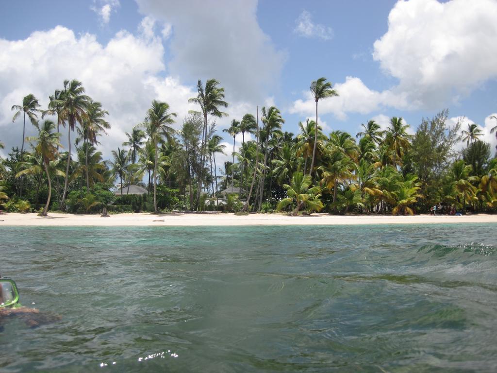 Villa Sonrisa Casa De Huespedes Las Terrenas Exteriör bild